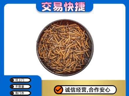 文登区回收散虫草