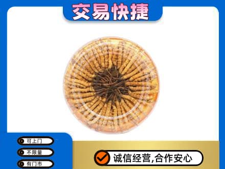文登区回收虫草礼盒